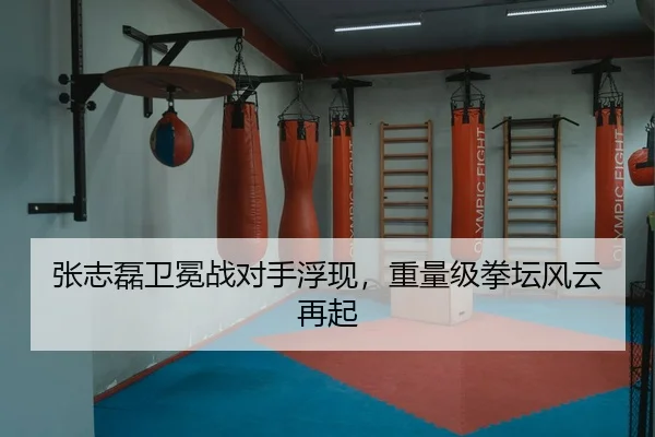 zhang-zhi-lei-wei-mian-zhan-dui-shou-fu-xian-zhong-liang-ji-quan-tan-feng-yun-zai-qi-2-299.jpg